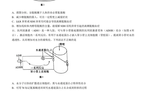 生物重庆市巴蜀中学校2022-2023学年高三上学期高考适应性月考（二）生物试题(1)_生物高考模拟题_新高考_2023年