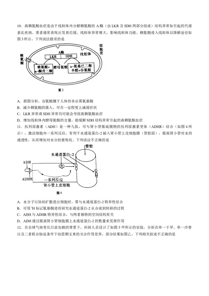 生物重庆市巴蜀中学校2022-2023学年高三上学期高考适应性月考（二）生物试题(1)_生物高考模拟题_新高考_2023年