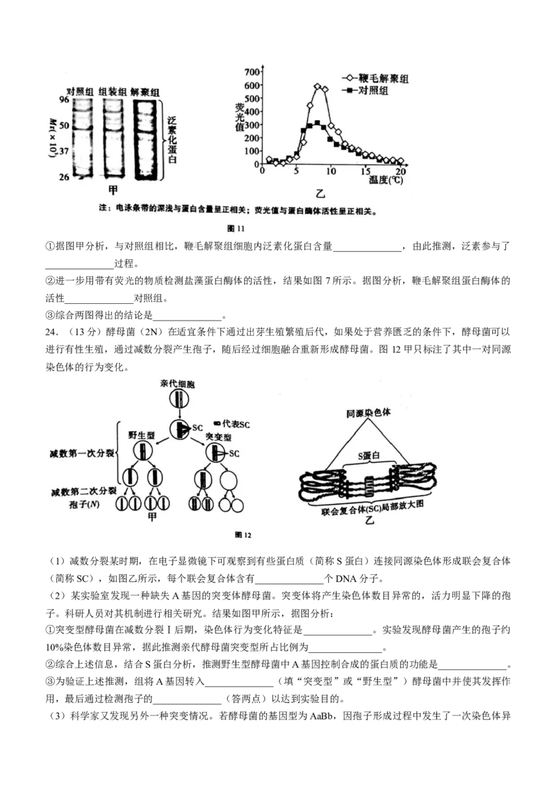 生物重庆市巴蜀中学校2022-2023学年高三上学期高考适应性月考（二）生物试题(1)_生物高考模拟题_新高考_2023年