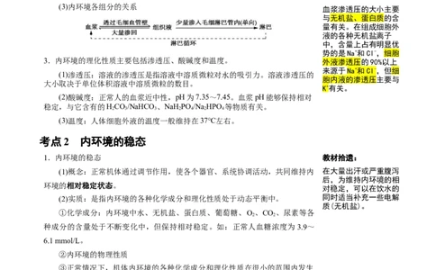 知识清单19+人体的内环境稳态（2大考点+4个易错点）-上好课2025年高考生物一轮复习知识清单_2025年新高考资料_一轮复习_上好课2025年高考生物一轮复习知识清单325572639