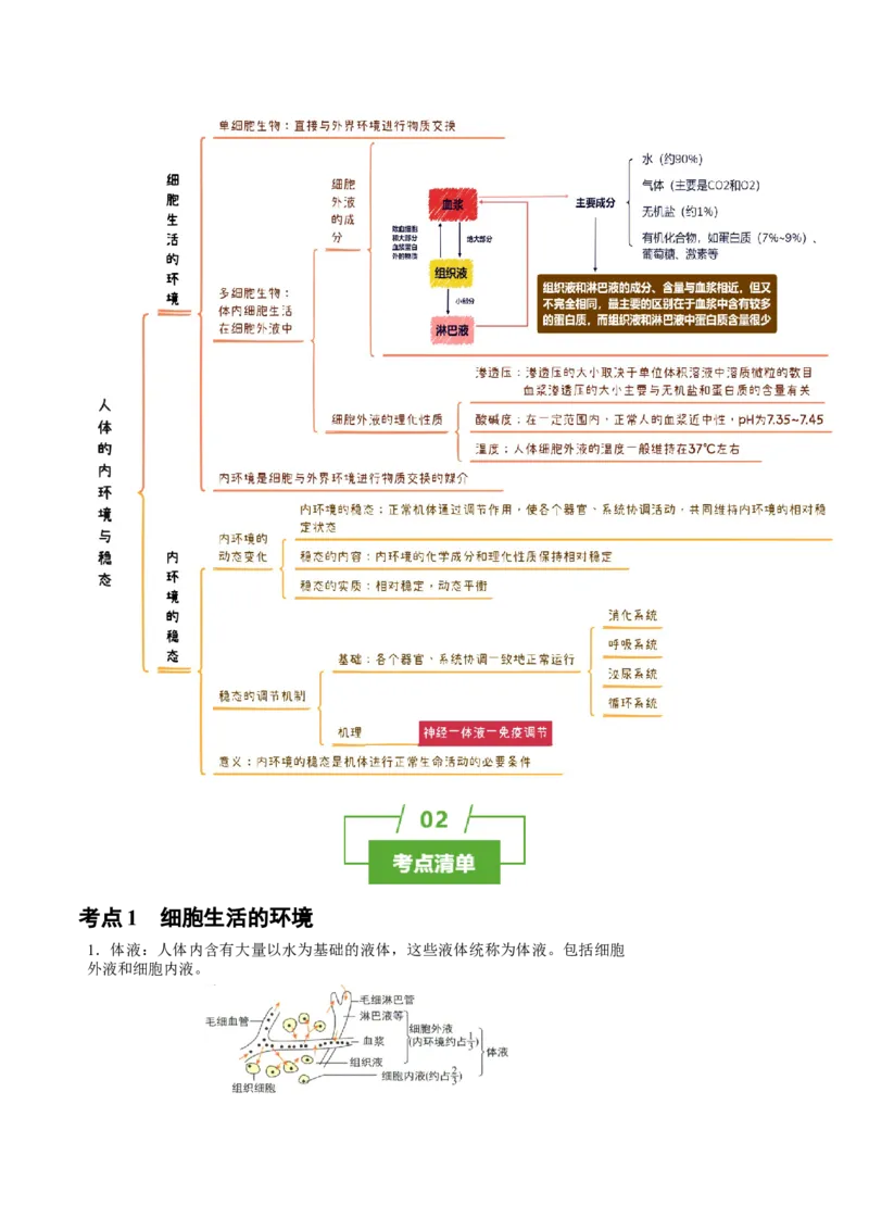 知识清单19+人体的内环境稳态（2大考点+4个易错点）-上好课2025年高考生物一轮复习知识清单_2025年新高考资料_一轮复习_上好课2025年高考生物一轮复习知识清单325572639
