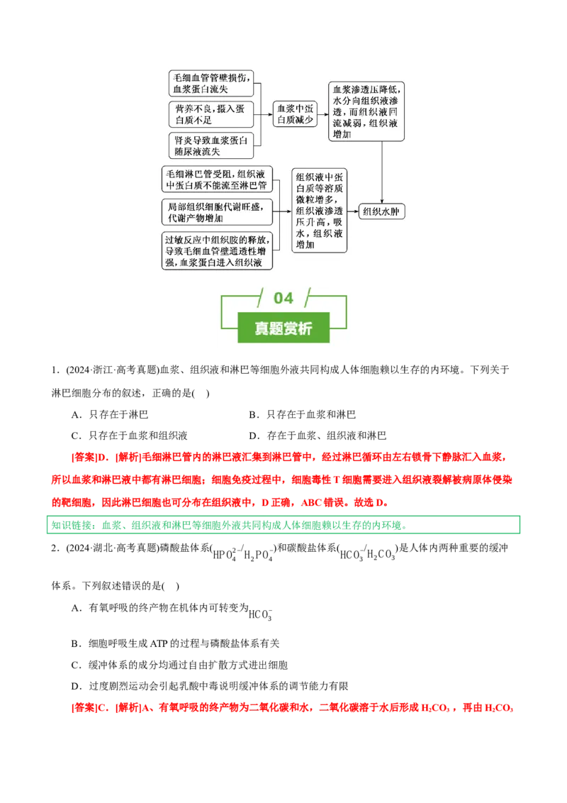 知识清单19+人体的内环境稳态（2大考点+4个易错点）-上好课2025年高考生物一轮复习知识清单_2025年新高考资料_一轮复习_上好课2025年高考生物一轮复习知识清单325572639