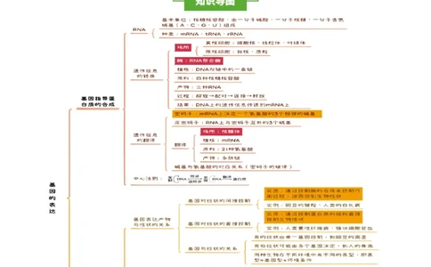 知识清单16基因的表达（3大考点3个易错点）-上好课2025年高考生物一轮复习知识清单_2025年新高考资料_一轮复习_上好课2025年高考生物一轮复习知识清单325572639