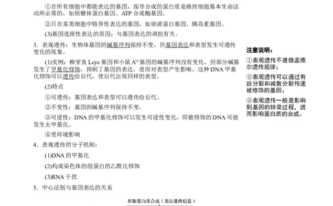知识清单16基因的表达（3大考点3个易错点）-上好课2025年高考生物一轮复习知识清单_2025年新高考资料_一轮复习_上好课2025年高考生物一轮复习知识清单325572639