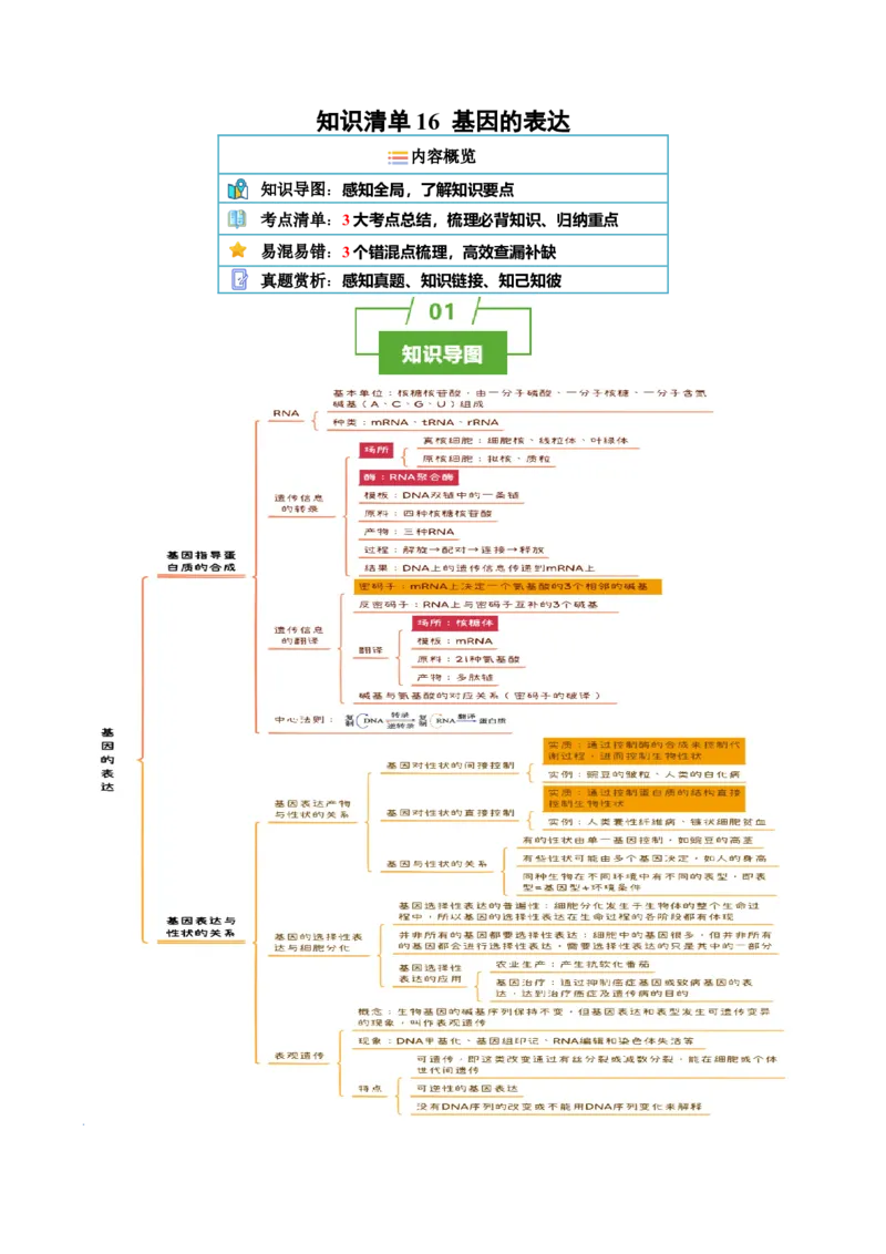 知识清单16基因的表达（3大考点3个易错点）-上好课2025年高考生物一轮复习知识清单_2025年新高考资料_一轮复习_上好课2025年高考生物一轮复习知识清单325572639