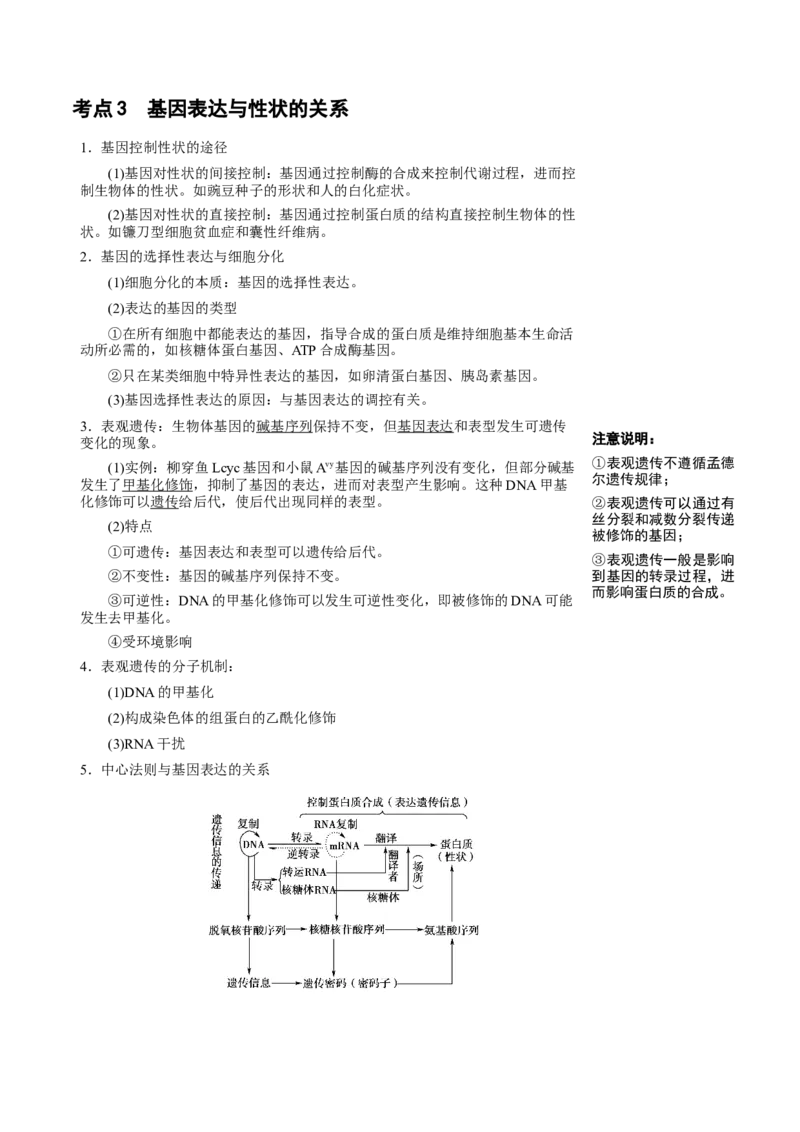 知识清单16基因的表达（3大考点3个易错点）-上好课2025年高考生物一轮复习知识清单_2025年新高考资料_一轮复习_上好课2025年高考生物一轮复习知识清单325572639