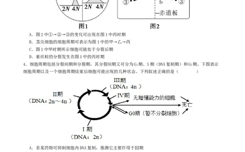 第05讲细胞的增殖和减数分裂（专项训练，4大题型）（原卷版）_2025年新高考资料_二轮复习_上好课2025年高考生物二轮复习讲练测（新高考通用）3380526