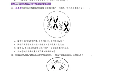 第05讲细胞的增殖和减数分裂（专项训练，4大题型）（原卷版）_2025年新高考资料_二轮复习_上好课2025年高考生物二轮复习讲练测（新高考通用）3380526