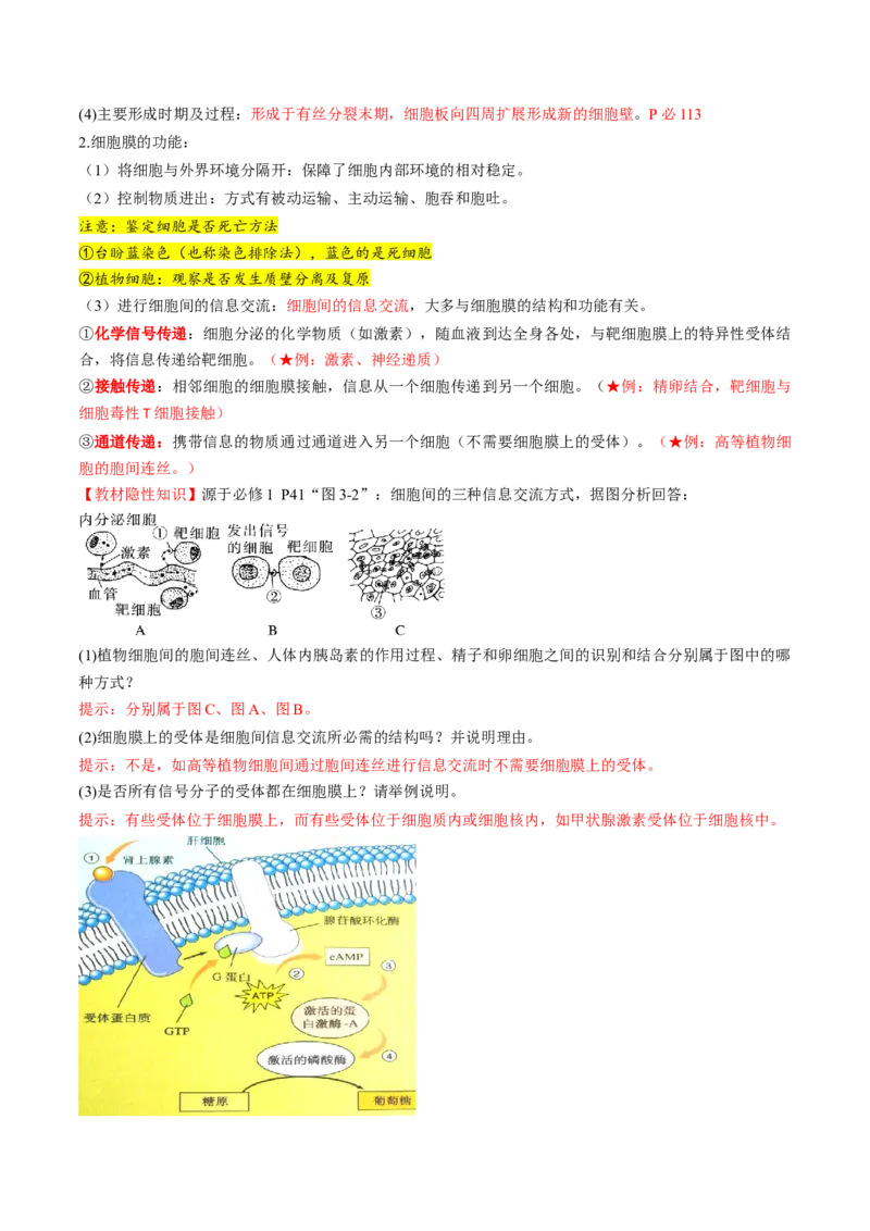 第05讲细胞膜和细胞核（讲义）（原卷版）_新高考复习资料_2025年新高考资料_2025年高考生物一轮复习讲练测（新教材新高考）