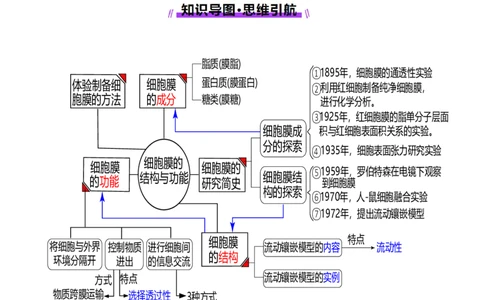 第05讲细胞膜和细胞核（讲义）（原卷版）_新高考复习资料_2025年新高考资料_2025年高考生物一轮复习讲练测（新教材新高考）