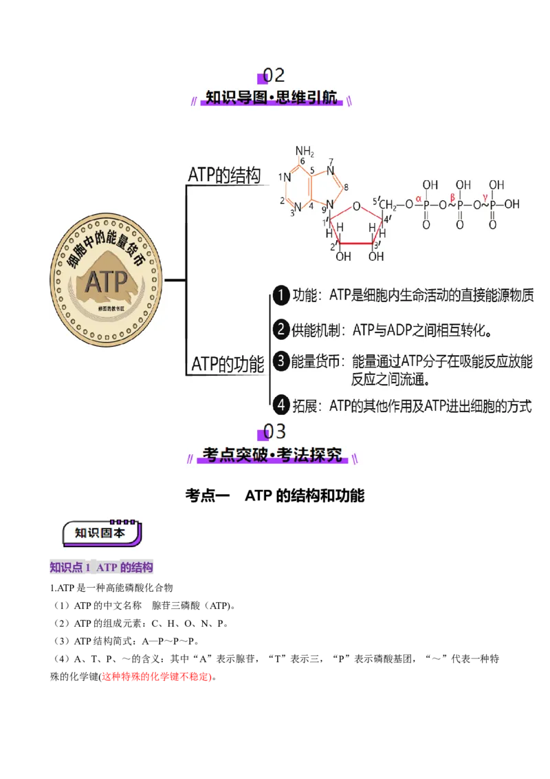 第08讲酶和ATP（第二课时）（讲义）（解析版）_新高考复习资料_2025年新高考资料_2025年高考生物一轮复习讲练测（新教材新高考）