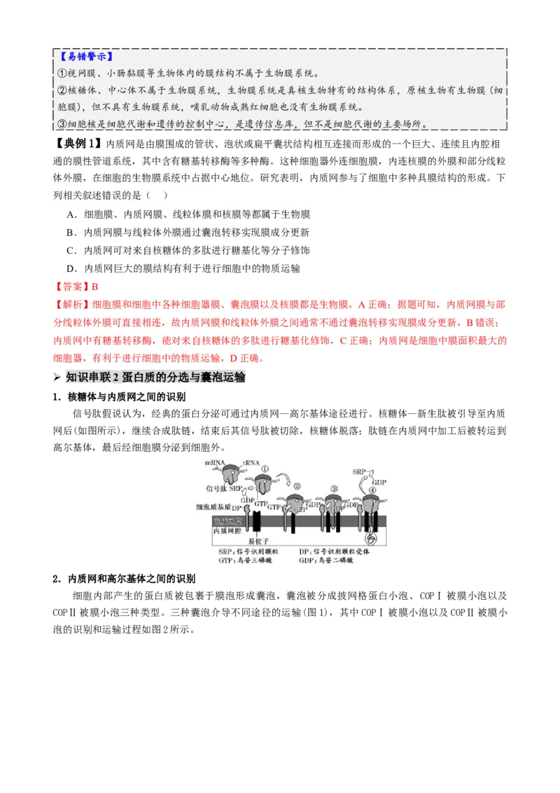 第02讲细胞的基本结构、功能和物质进出细胞的方式（讲义）（解析版）_2025年新高考资料_二轮复习_01高考语文等多个文件_上好课2025年高考生物二轮复习讲练测（新高考通用）