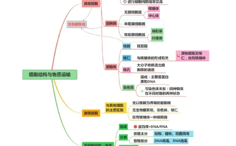 第02讲细胞的基本结构、功能和物质进出细胞的方式（讲义）（解析版）_2025年新高考资料_二轮复习_01高考语文等多个文件_上好课2025年高考生物二轮复习讲练测（新高考通用）