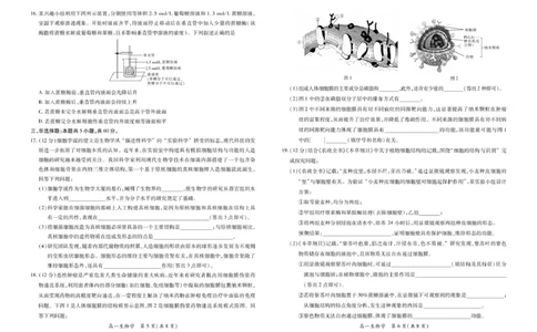 12月江西高一&middot;生物12.1_2025年12月高一试卷_251214江西省上进联考2025-2026学年高一上学期12月学情检测（全）