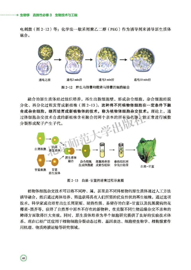 北师大版生物选修3_高中电子课本_最新版高中全科高清电子课本_6高中生物课本_2019新北师大版