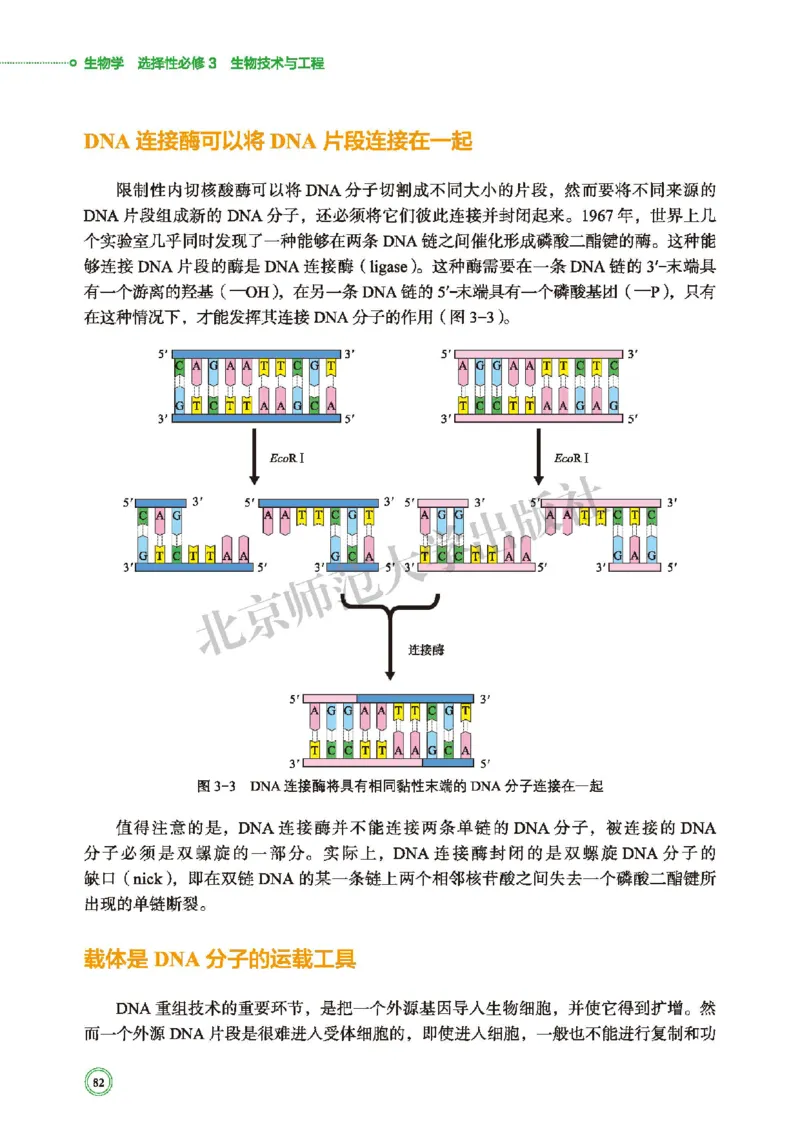 北师大版生物选修3_高中电子课本_最新版高中全科高清电子课本_6高中生物课本_2019新北师大版