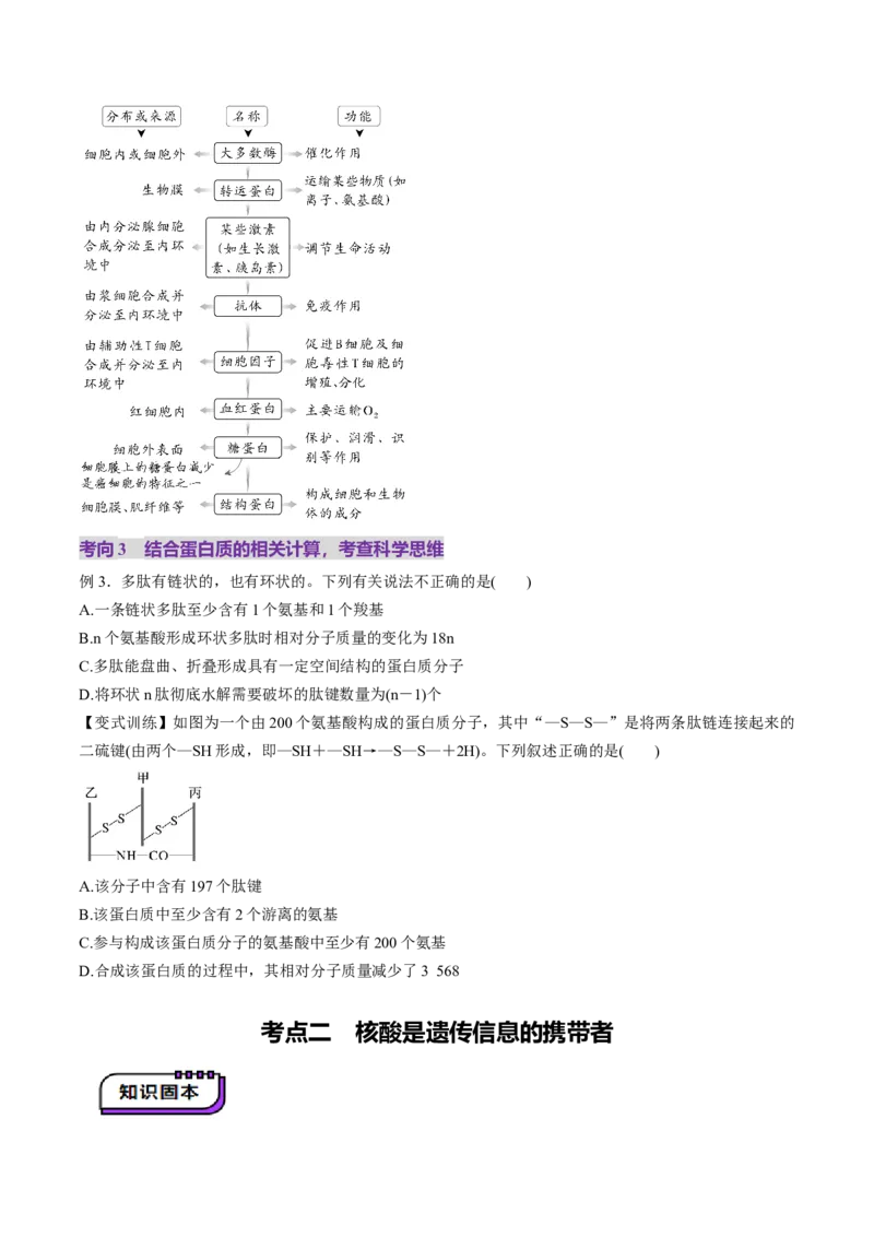 第04讲蛋白质和核酸（讲义）（原卷版）_新高考复习资料_2025年新高考资料_2025年高考生物一轮复习讲练测（新教材新高考）