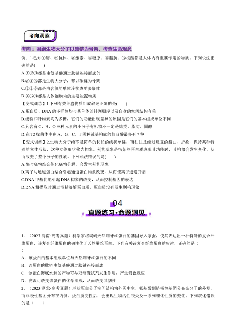 第04讲蛋白质和核酸（讲义）（原卷版）_新高考复习资料_2025年新高考资料_2025年高考生物一轮复习讲练测（新教材新高考）