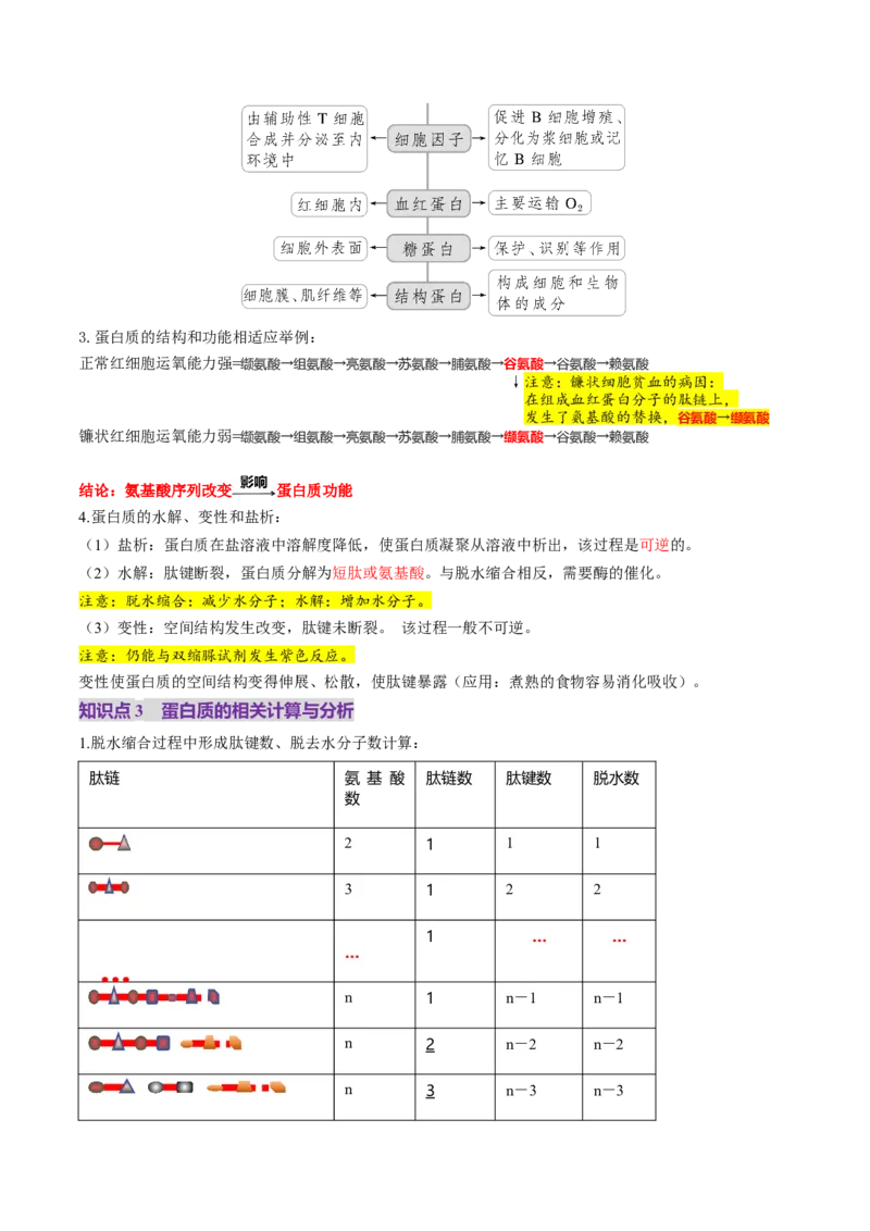 第04讲蛋白质和核酸（讲义）（原卷版）_新高考复习资料_2025年新高考资料_2025年高考生物一轮复习讲练测（新教材新高考）