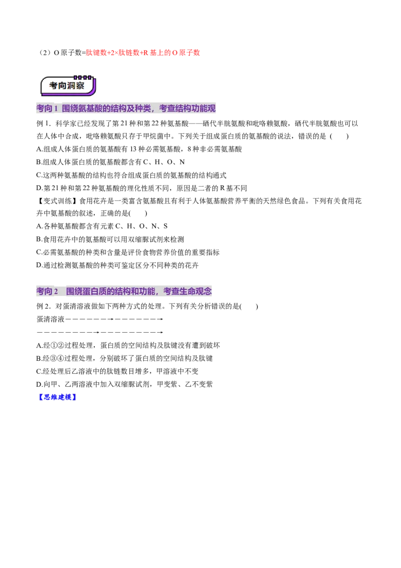 第04讲蛋白质和核酸（讲义）（原卷版）_新高考复习资料_2025年新高考资料_2025年高考生物一轮复习讲练测（新教材新高考）