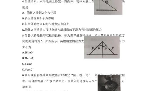 1_2024~2025学年度第一学期期中教学质量检测高一物理试题_2024年12月试卷_1204山东省聊城市2024-2025学年高一上学期11月期中考试