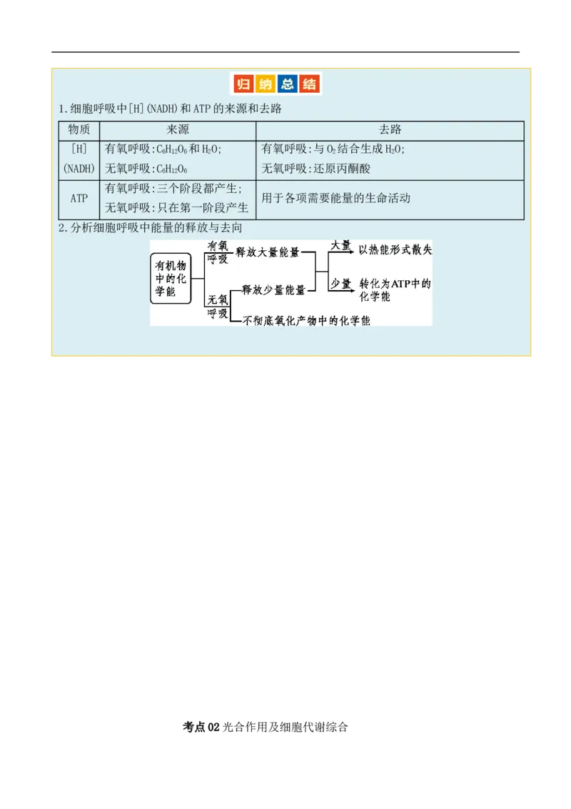 第04讲细胞呼吸和光合作用（讲义）原卷版_新高考复习资料_2024年新高考复习资料_二轮复习资料_2024年高考生物二轮复习讲练测（新教材新高考）_配套讲义