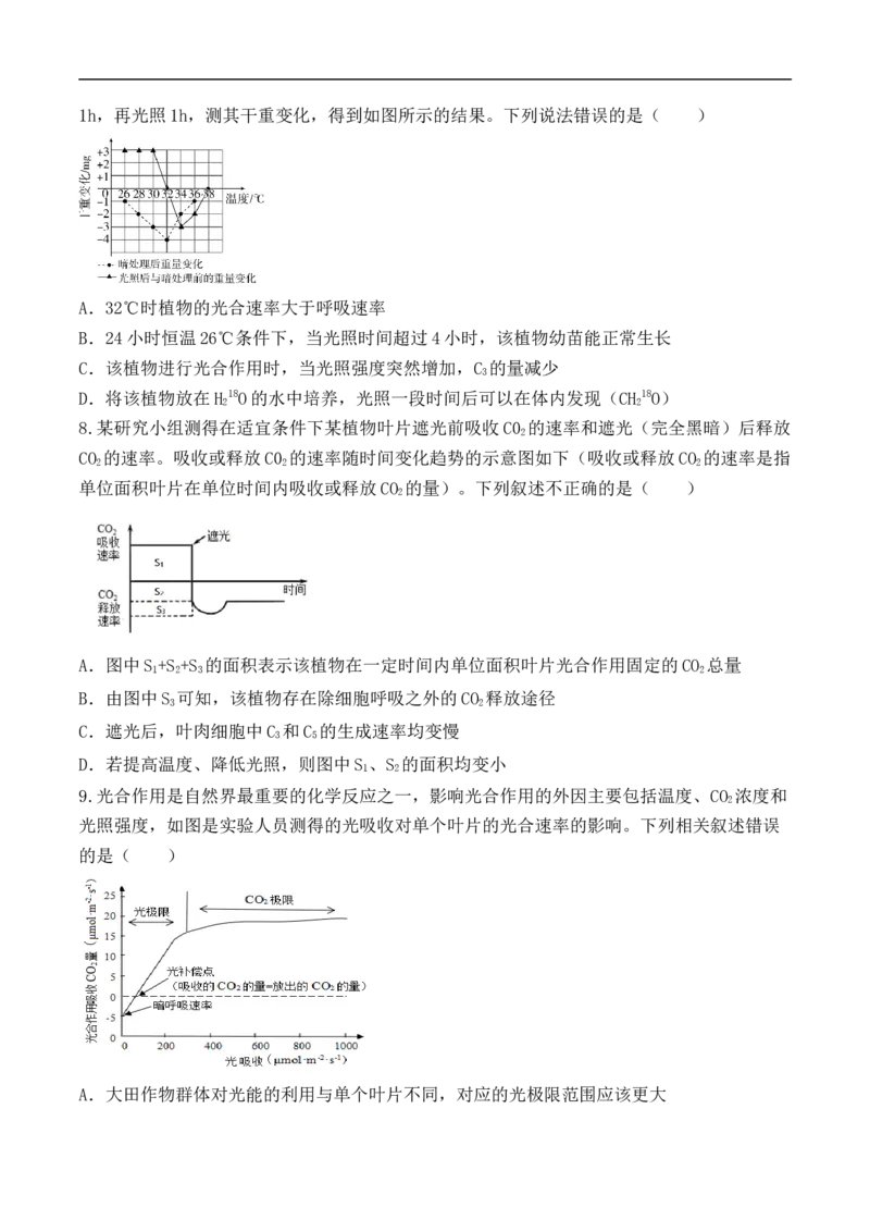 第04讲细胞呼吸和光合作用（讲义）原卷版_新高考复习资料_2024年新高考复习资料_二轮复习资料_2024年高考生物二轮复习讲练测（新教材新高考）_配套讲义