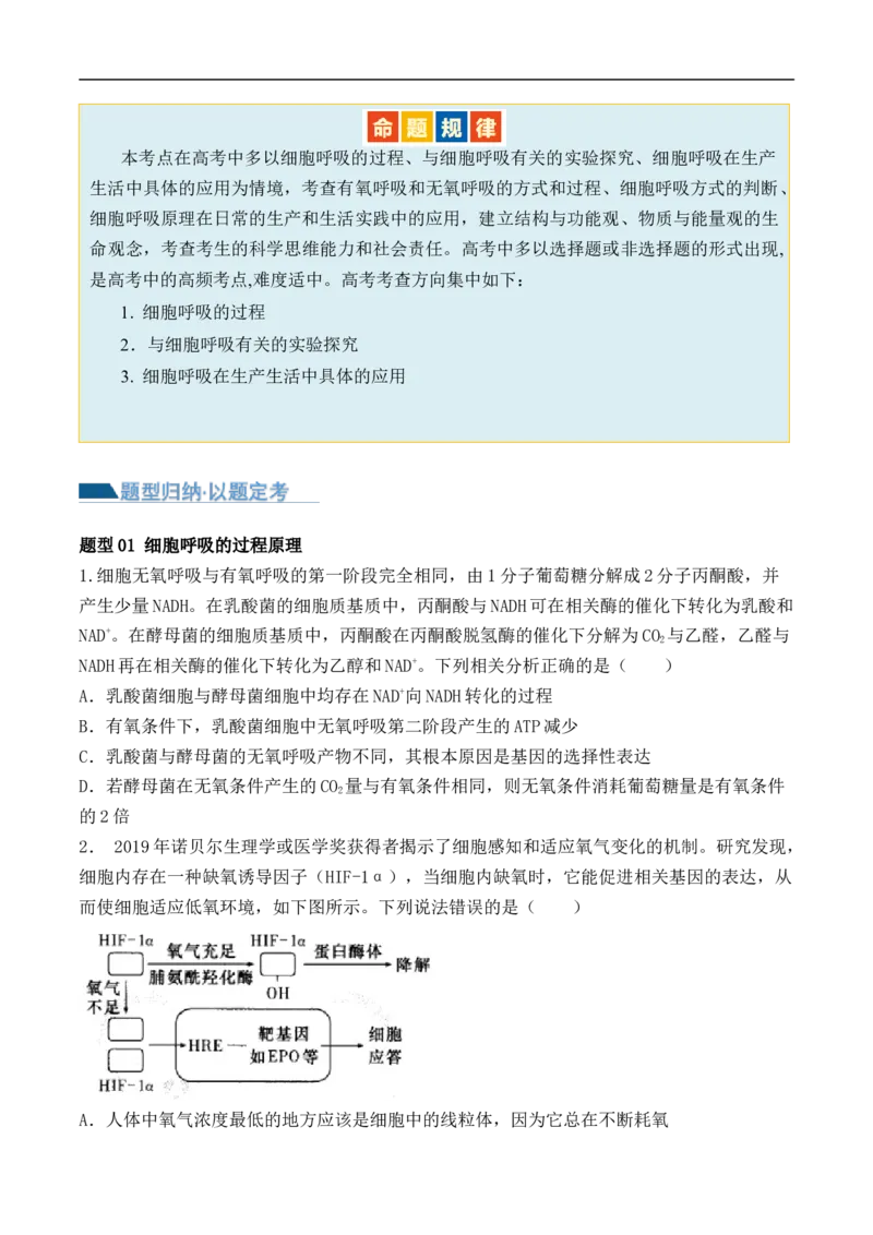 第04讲细胞呼吸和光合作用（讲义）原卷版_新高考复习资料_2024年新高考复习资料_二轮复习资料_2024年高考生物二轮复习讲练测（新教材新高考）_配套讲义