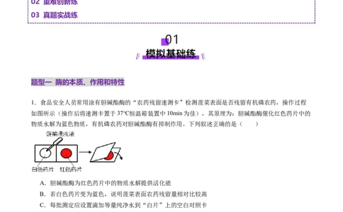 第08讲酶和ATP（第一课时）（练习）（解析版）_新高考复习资料_2025年新高考资料_2025年高考生物一轮复习讲练测（新教材新高考）