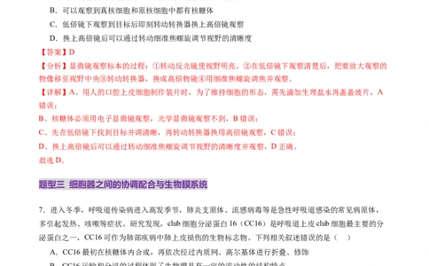 第06讲细胞器和生物膜系统（练习）（解析版）_新高考复习资料_2025年新高考资料_2025年高考生物一轮复习讲练测（新教材新高考）