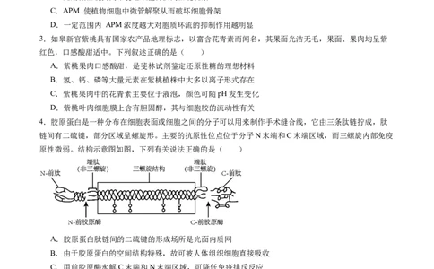 第06讲细胞器和生物膜系统（练习）（原卷版）_新高考复习资料_2025年新高考资料_2025年高考生物一轮复习讲练测（新教材新高考）