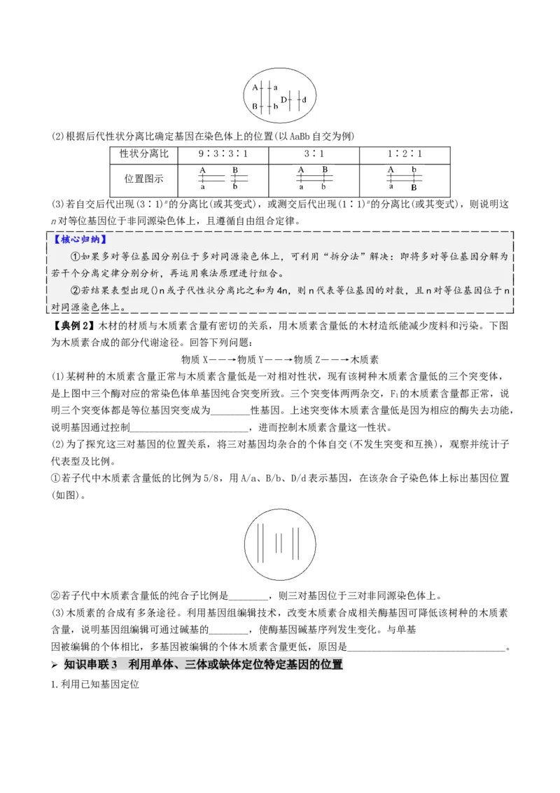 第07讲基因的分离定律和自由组合定律（讲义）（原卷版）_2025年新高考资料_二轮复习_01高考语文等多个文件_上好课2025年高考生物二轮复习讲练测（新高考通用）