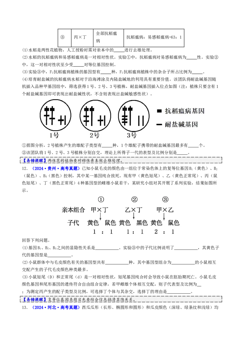 第07讲基因的分离定律和自由组合定律（讲义）（原卷版）_2025年新高考资料_二轮复习_01高考语文等多个文件_上好课2025年高考生物二轮复习讲练测（新高考通用）