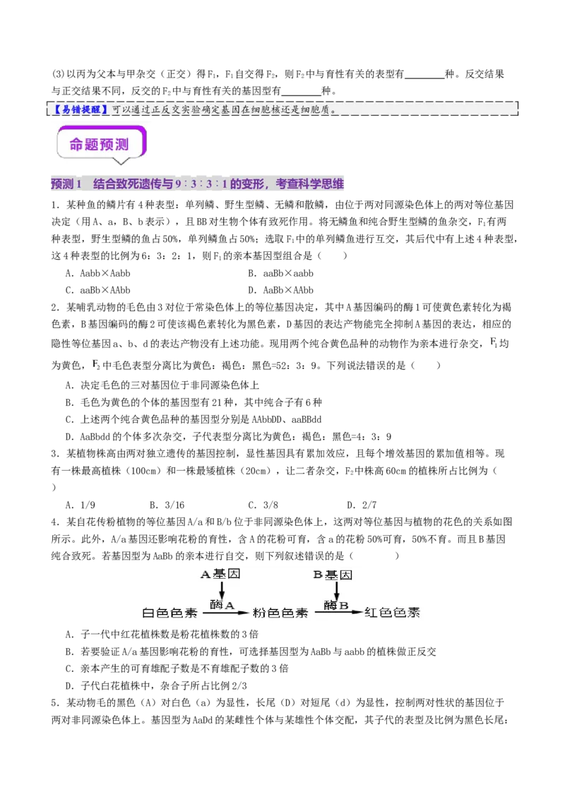 第07讲基因的分离定律和自由组合定律（讲义）（原卷版）_2025年新高考资料_二轮复习_01高考语文等多个文件_上好课2025年高考生物二轮复习讲练测（新高考通用）