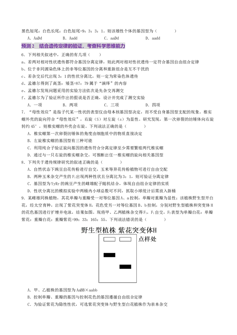 第07讲基因的分离定律和自由组合定律（讲义）（原卷版）_2025年新高考资料_二轮复习_01高考语文等多个文件_上好课2025年高考生物二轮复习讲练测（新高考通用）