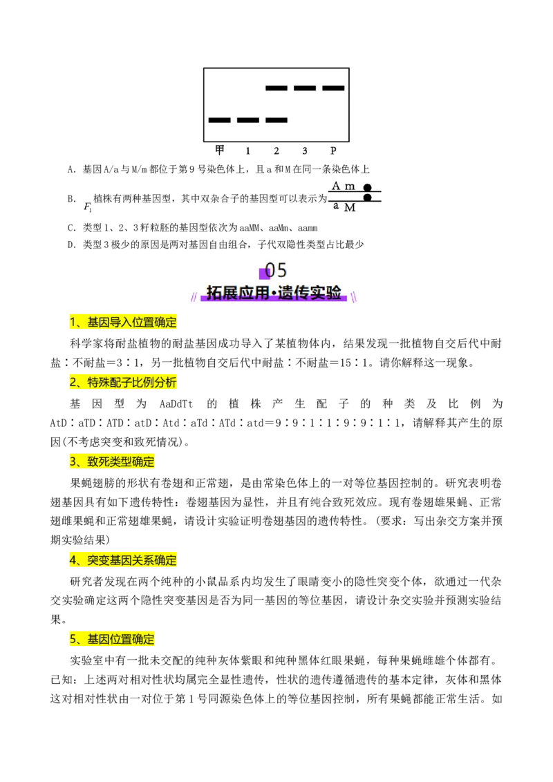 第07讲基因的分离定律和自由组合定律（讲义）（原卷版）_2025年新高考资料_二轮复习_01高考语文等多个文件_上好课2025年高考生物二轮复习讲练测（新高考通用）