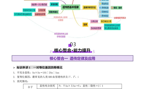 第07讲基因的分离定律和自由组合定律（讲义）（原卷版）_2025年新高考资料_二轮复习_01高考语文等多个文件_上好课2025年高考生物二轮复习讲练测（新高考通用）