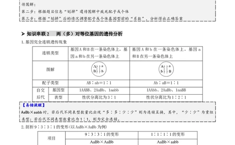 第07讲基因的分离定律和自由组合定律（讲义）（原卷版）_2025年新高考资料_二轮复习_01高考语文等多个文件_上好课2025年高考生物二轮复习讲练测（新高考通用）