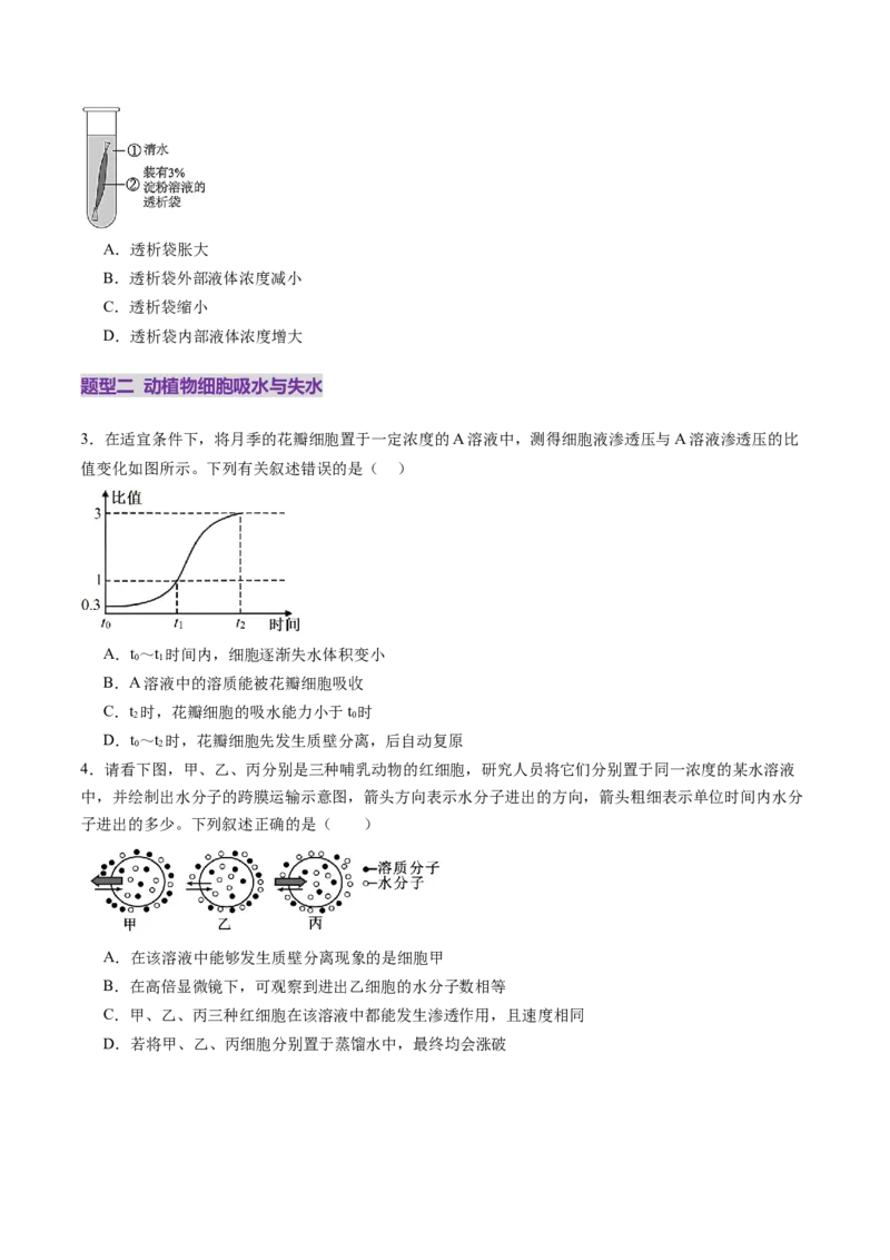 第07讲物质运输（练习）（原卷版）_2025年新高考资料_一轮复习_2025年高考生物一轮复习讲练测（新教材新高考）