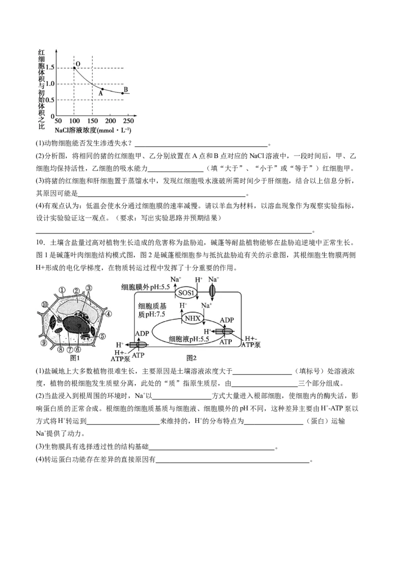 第07讲物质运输（练习）（原卷版）_2025年新高考资料_一轮复习_2025年高考生物一轮复习讲练测（新教材新高考）