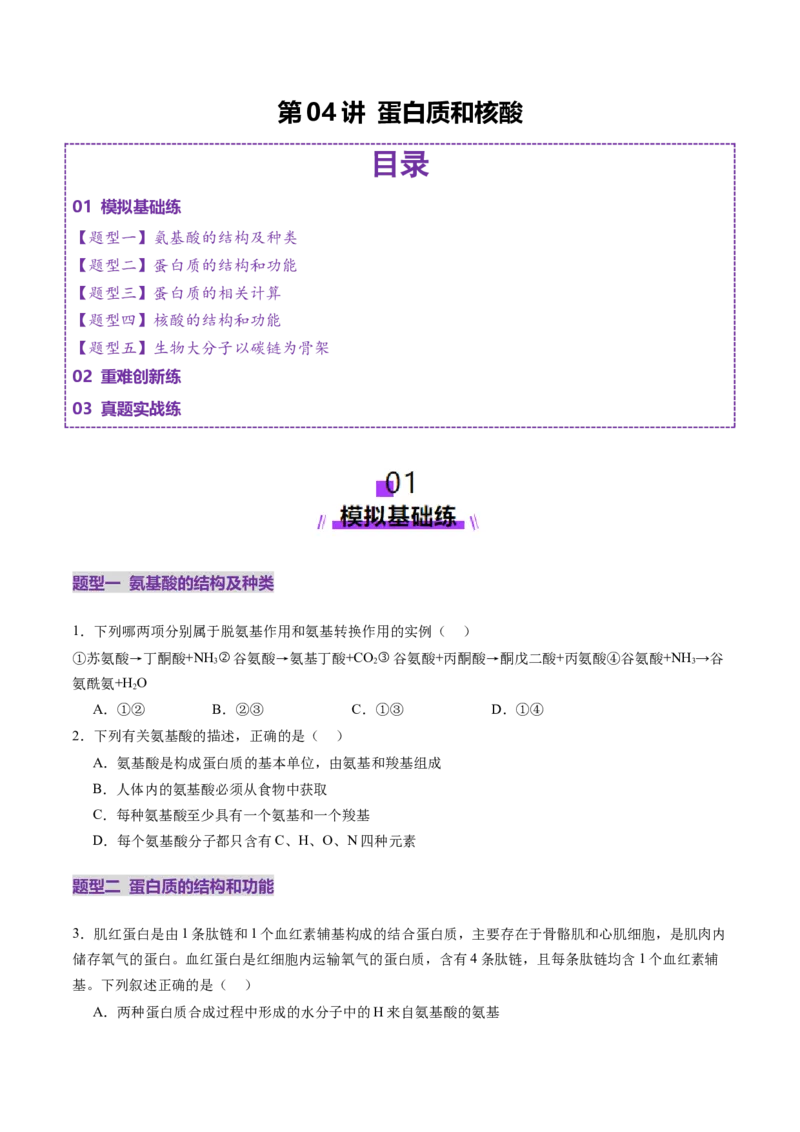 第04讲蛋白质和核酸（练习）（原卷版）_2025年新高考资料_一轮复习_2025年高考生物一轮复习讲练测（新教材新高考）