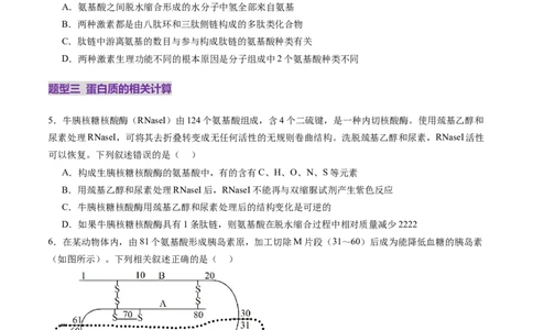第04讲蛋白质和核酸（练习）（原卷版）_2025年新高考资料_一轮复习_2025年高考生物一轮复习讲练测（新教材新高考）