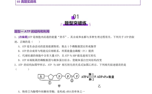 第03讲ATP和酶（练习）（原卷版）_2025年新高考资料_二轮复习_上好课2025年高考生物二轮复习讲练测（新高考通用）3380526