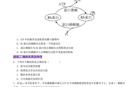 第03讲ATP和酶（练习）（原卷版）_2025年新高考资料_二轮复习_上好课2025年高考生物二轮复习讲练测（新高考通用）3380526