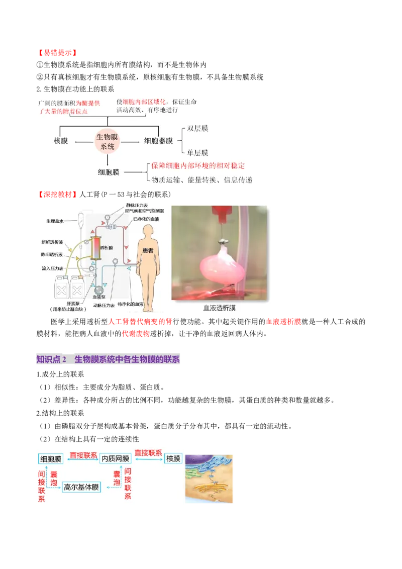 第06讲细胞器和生物膜系统（讲义）（原卷版）_新高考复习资料_2025年新高考资料_2025年高考生物一轮复习讲练测（新教材新高考）
