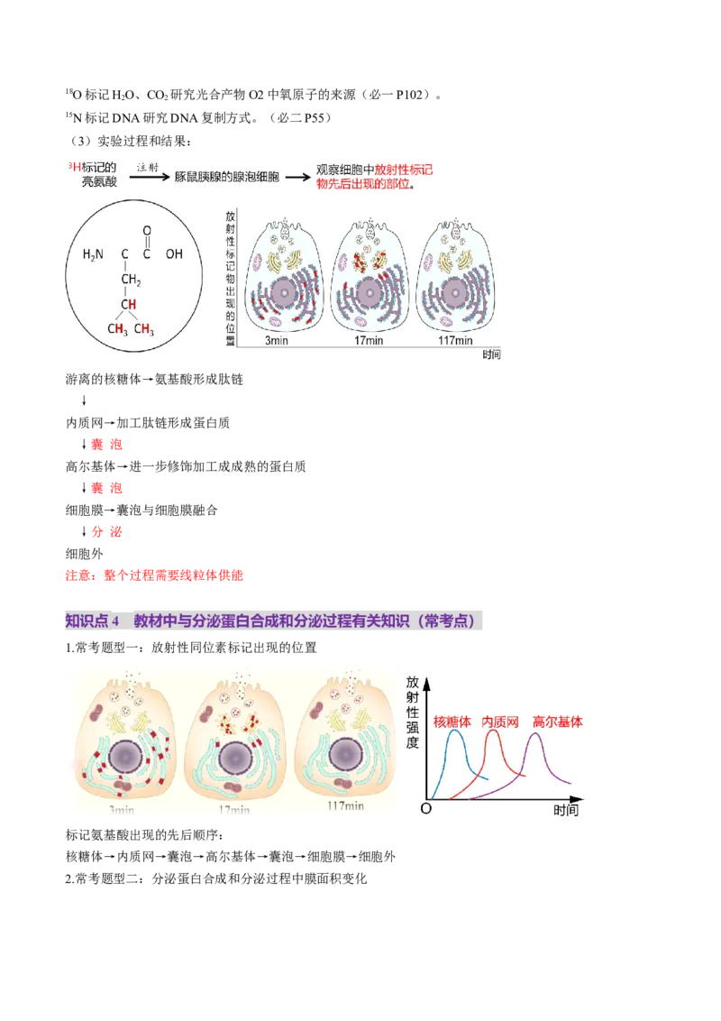 第06讲细胞器和生物膜系统（讲义）（原卷版）_新高考复习资料_2025年新高考资料_2025年高考生物一轮复习讲练测（新教材新高考）