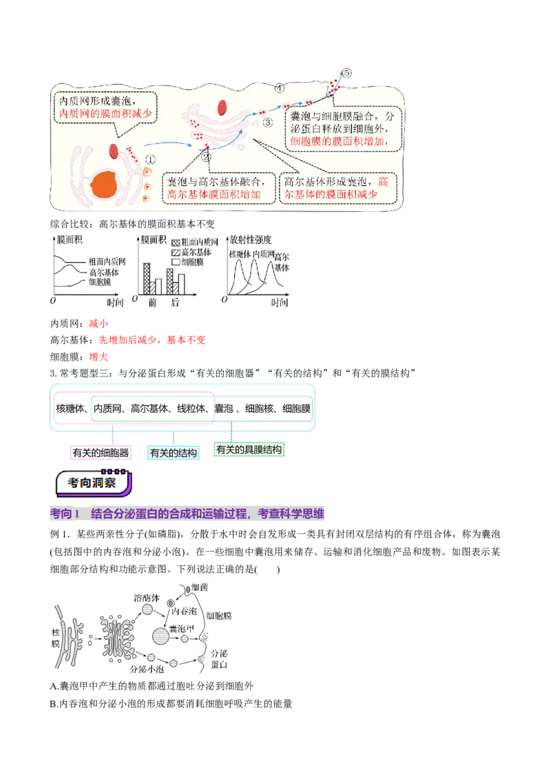 第06讲细胞器和生物膜系统（讲义）（原卷版）_新高考复习资料_2025年新高考资料_2025年高考生物一轮复习讲练测（新教材新高考）