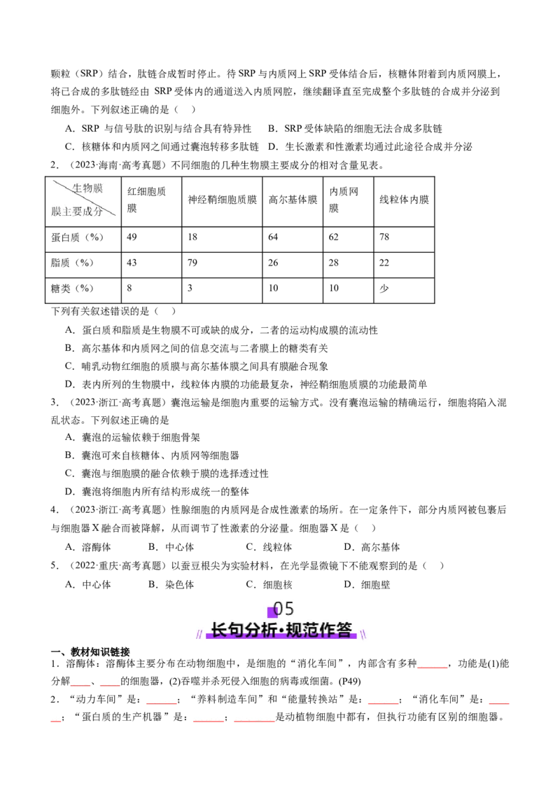 第06讲细胞器和生物膜系统（讲义）（原卷版）_新高考复习资料_2025年新高考资料_2025年高考生物一轮复习讲练测（新教材新高考）