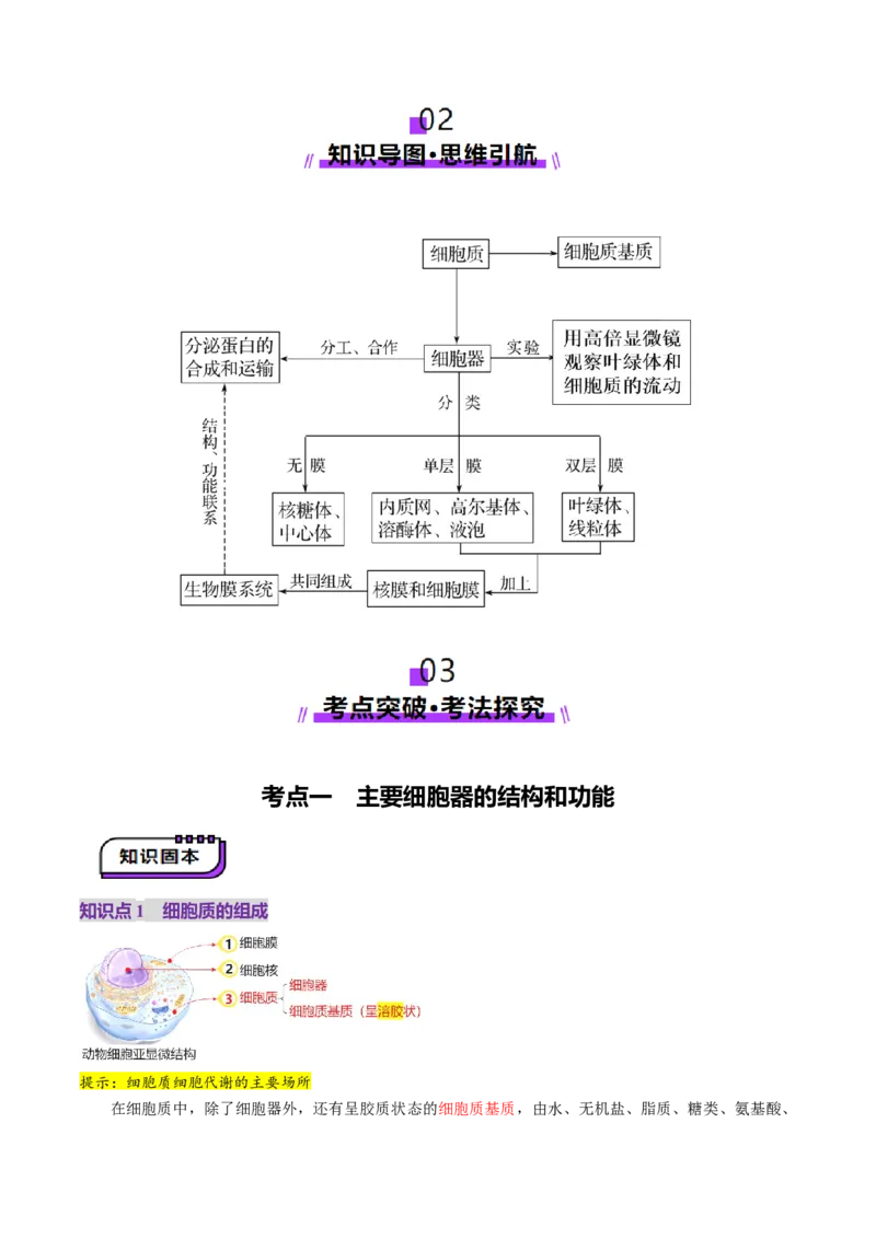 第06讲细胞器和生物膜系统（讲义）（原卷版）_新高考复习资料_2025年新高考资料_2025年高考生物一轮复习讲练测（新教材新高考）