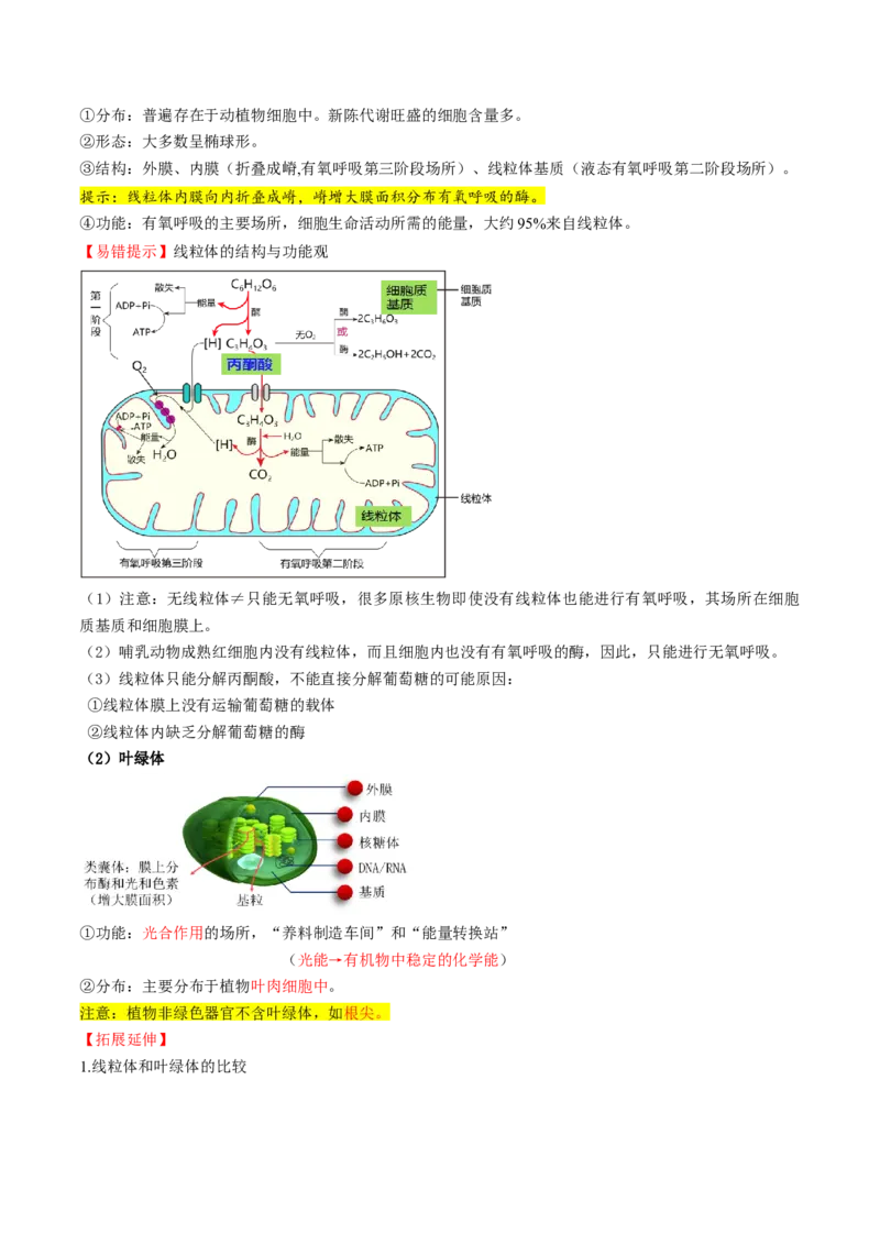 第06讲细胞器和生物膜系统（讲义）（原卷版）_新高考复习资料_2025年新高考资料_2025年高考生物一轮复习讲练测（新教材新高考）